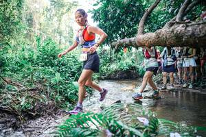 BIB: 
                            <button type="button" onclick="openModal(25466200)" class="btn btn-primary btn-sm float-right btn-popup" data-toggle="modal" data-target=".modal-high-quality">
                        <i class="fas fa-shopping-cart"></i> Add to Cart
                    </button>
                                            <button type="button" onclick="isThisMe(25466200, true)" class="btn btn-success btn-sm float-right btn-popup btn-isme hidden" data-toggle="tooltip" data-placement="bottom" title="นี่คือรูปของคุณใช่ไหม คลิกที่นี่เพื่อเอาเข้าอัลบั้ม">
                        <i class="fas fa-plus"></i> Add to album
                    </button>
                    <button type="button" onclick="isThisMe(25466200, false)" class="btn btn-warning btn-sm float-right btn-popup btn-isnotme hidden">
                        <i class="fas fa-ban"></i> Remove from album
                    </button>